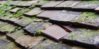 Elm Farm roof repair costs